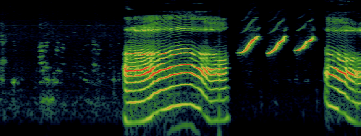 Visualisation et étude du signal